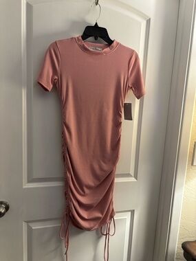 Ribbed Velvet Torch Ruched Short Sleeve Dress Nordstrom Sz L